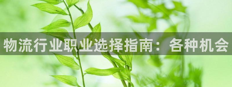 28圈软件是什么：物流行业职业选择指