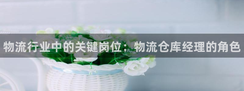 28圈注册网页