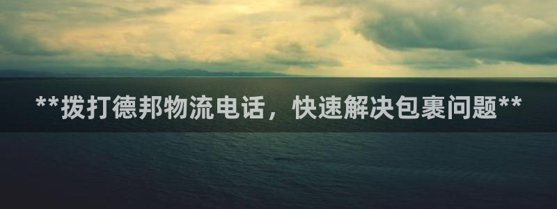 28圈预测