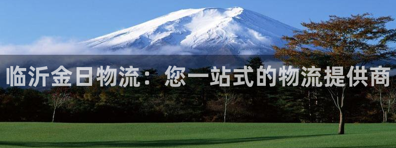 28圈注册入口与教程：临沂金日物流：