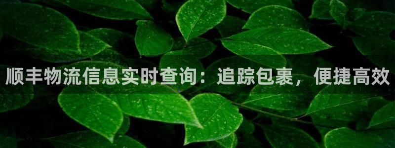 28圈注册网站链接是什么：顺丰物流信