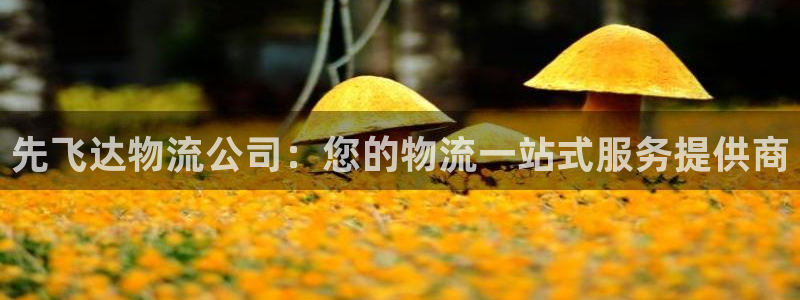 28圈玩法