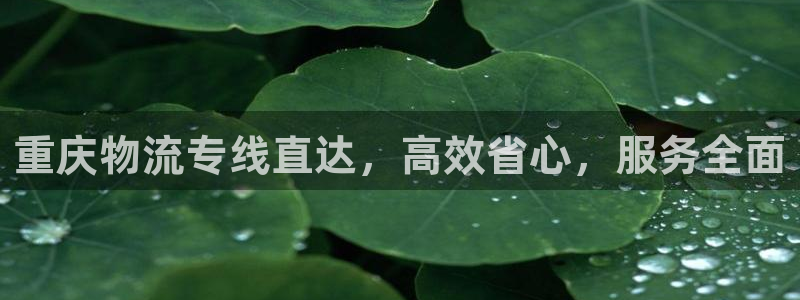 28圈旗下：重庆物流专线直达，高效省