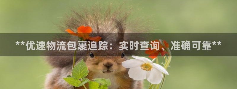 28圈二维码：**优速物流包裹追踪：
