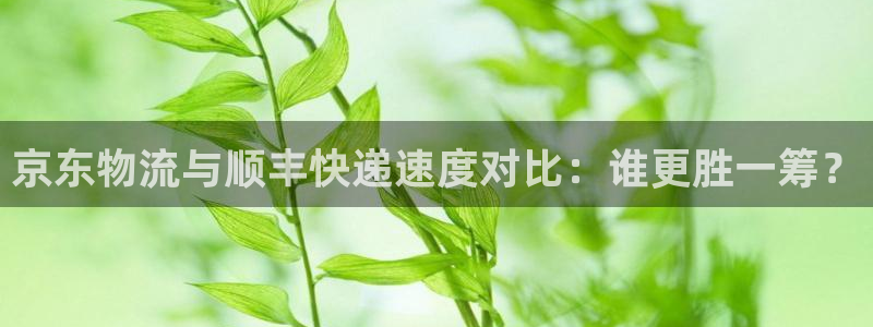 28圈软件：京东物流与顺丰快递速度对