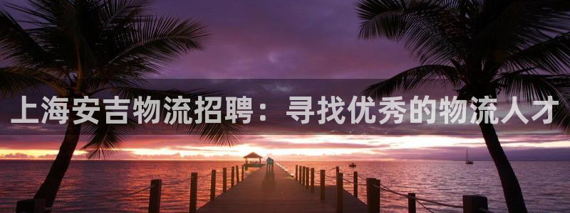 28圈怎么下载不了：上海安吉物流招聘