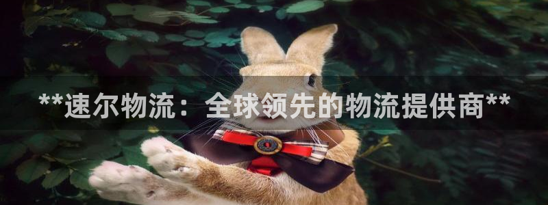 28圈怎么注册游戏名字：**速尔物流