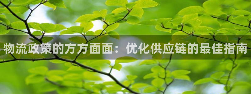 28圈p扣除是什么意思：物流政策的方