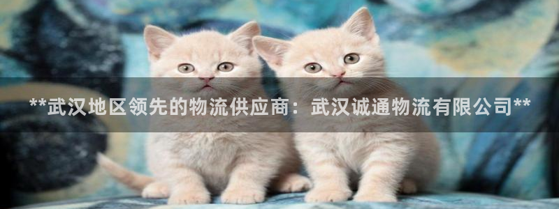 28圈游戏官网平台：**武汉地区领先