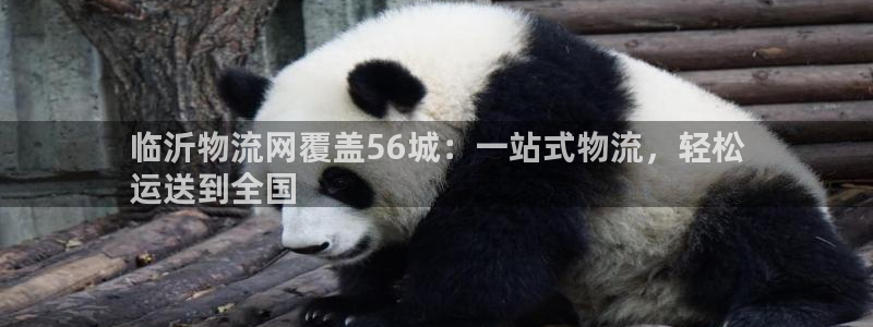28圈百度百科