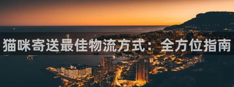 28圈是干嘛的：猫咪寄送最佳物流方式