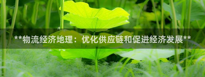28圈加拿大真假怎么看：**物流经济