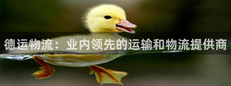 28圈h5链接：德运物流：业内领先的