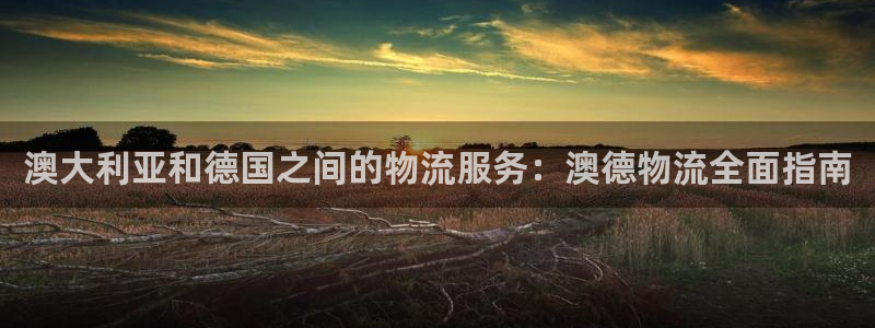 28圈初始资金密码是什么：澳大利亚和