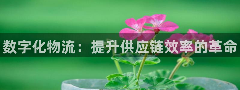 28圈pc预测：数字化物流：提升供应