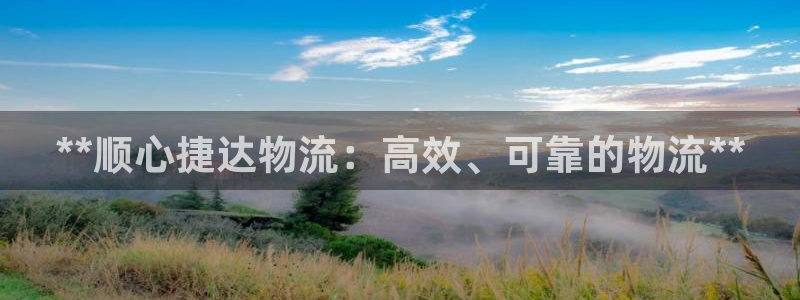 28圈怎么下载：**顺心捷达物流：高