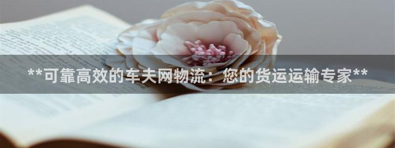 28圈充值不到账怎么回事
