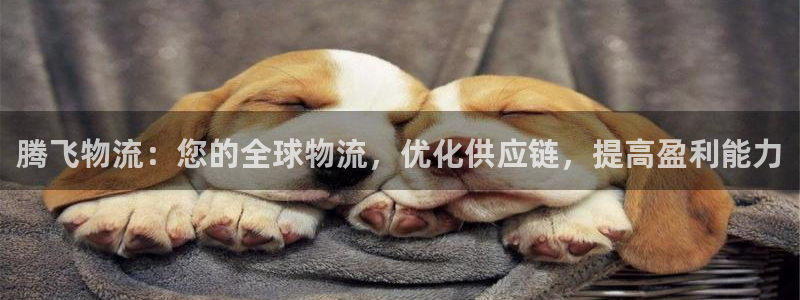 28圈注册网站多少钱：腾飞物流：您的