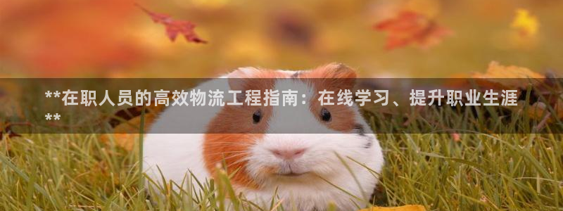 28圈相信品牌的力量：**在职人员的