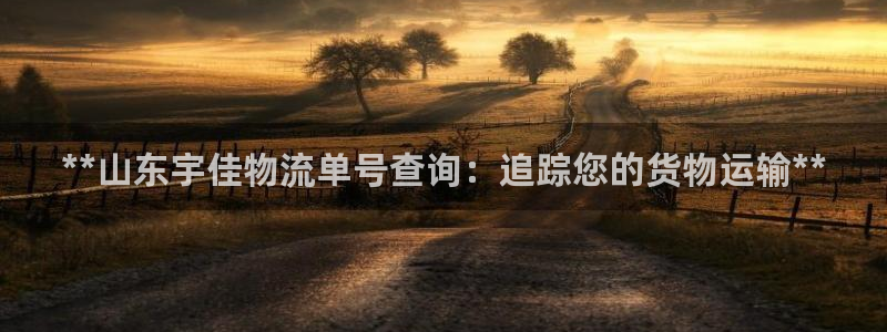 28圈如何看012路计划：**山东宇
