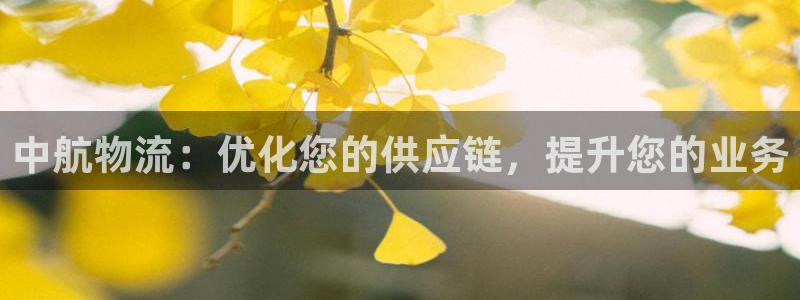 28圈现在狂杀：中航物流：优化您的供