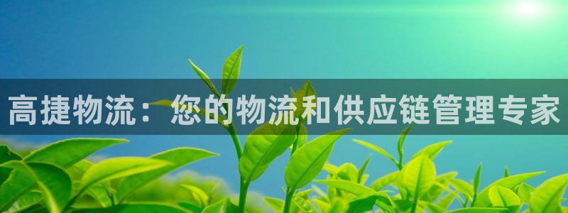 28圈代理落网：高捷物流：您的物流和
