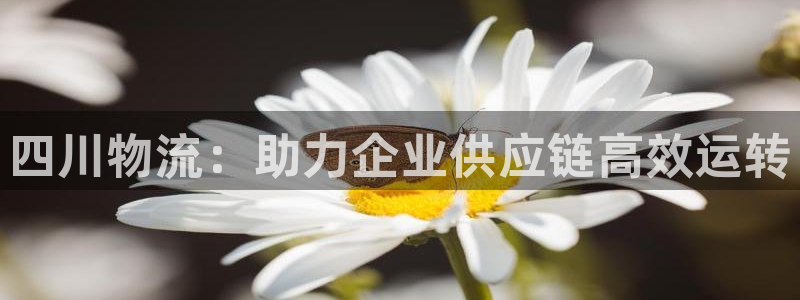 28圈加拿大最新版：四川物流：助力企