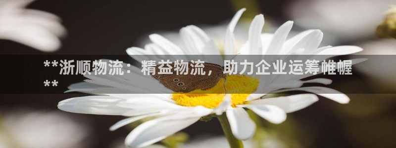 28圈软件：**浙顺物流：精益物流，