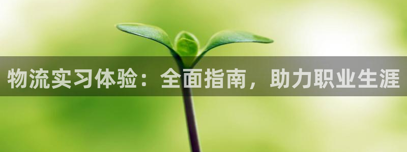 28圈分分28预测：物流实习体验：全