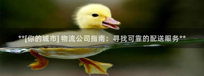 28圈登录：**[你的城市] 物流公