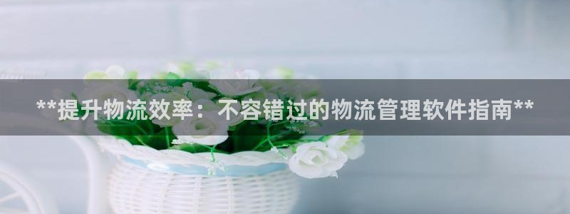 28圈游戏：**提升物流效率：不容错