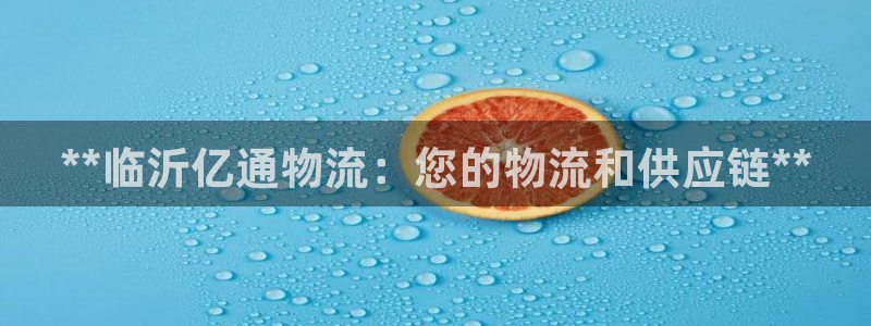 28圈加拿大：**临沂亿通物流：您的