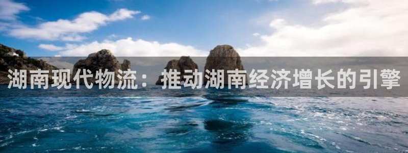 28圈注册网站多少钱：湖南现代物流：