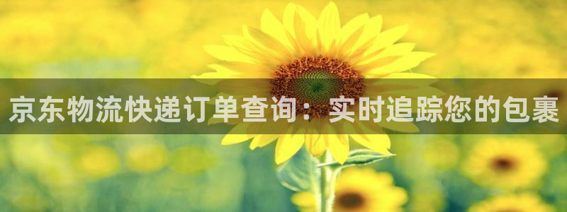 28圈.ccm2024：京东物流快递