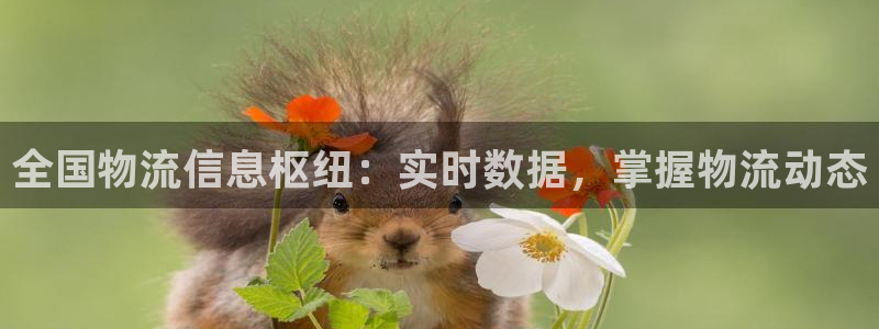28圈连接：全国物流信息枢纽：实时数