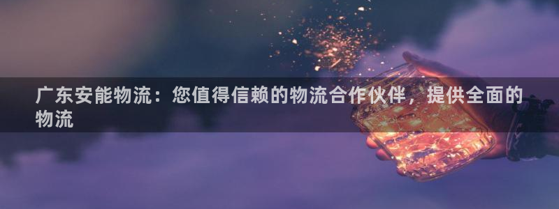 28圈是正规软件吗：广东安能物流：您