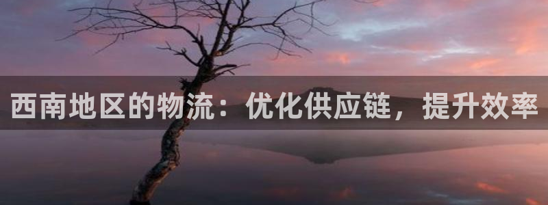 28圈注册条件：西南地区的物流：优化
