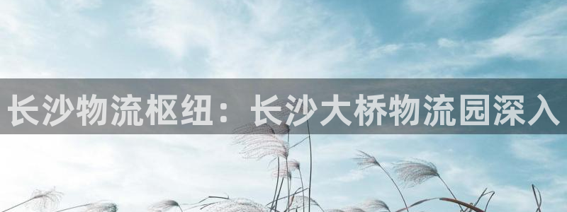 28圈预测：长沙物流枢纽：长沙大桥物