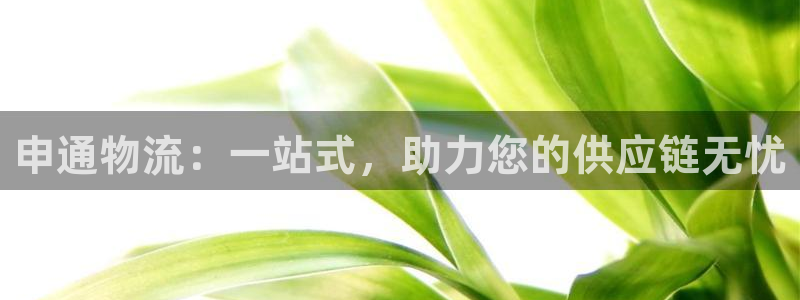 28圈麻将胡了