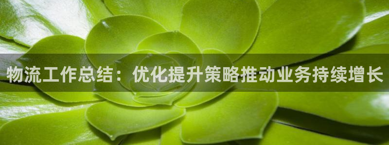 28圈充值不处理
