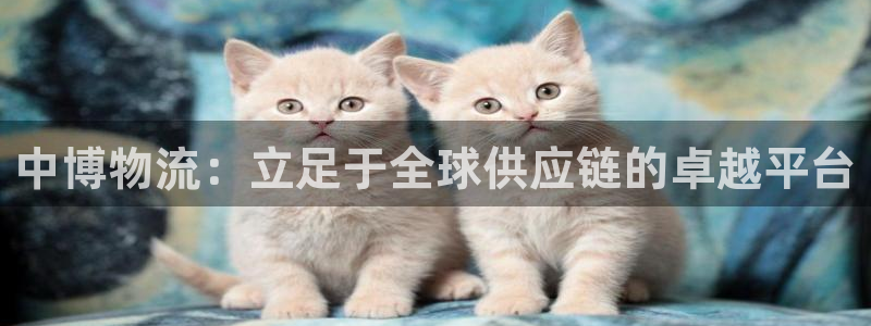 28圈.ccm正版