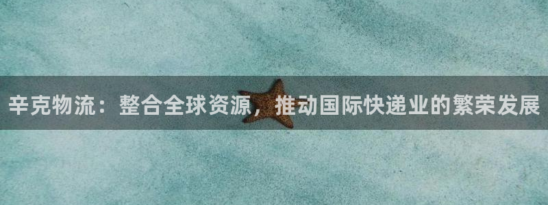 28圈连输10天：辛克物流：整合全球资源，推动国际快递业的繁