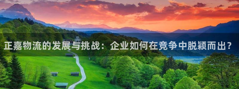 28圈cn:正嘉物流的发展与挑战:企
