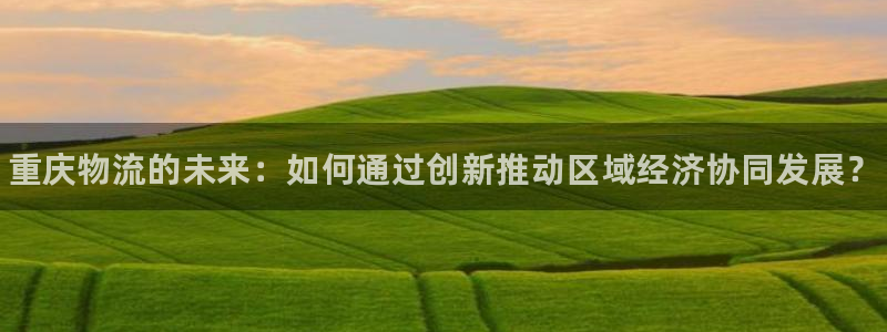 28圈官方网站:重庆物流的未来:如何