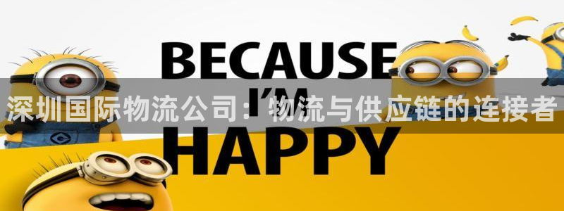28圈是干嘛的:深圳国际物流公司:物