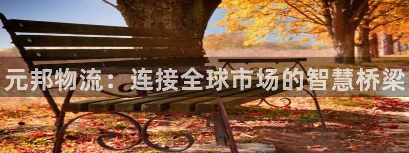 28圈怎么下载：元邦物流：连接全球市