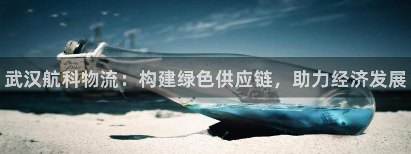 28圈加拿大预测:武汉航科物流:构建