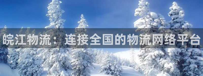 28圈口：皖江物流：连接全国的物流网