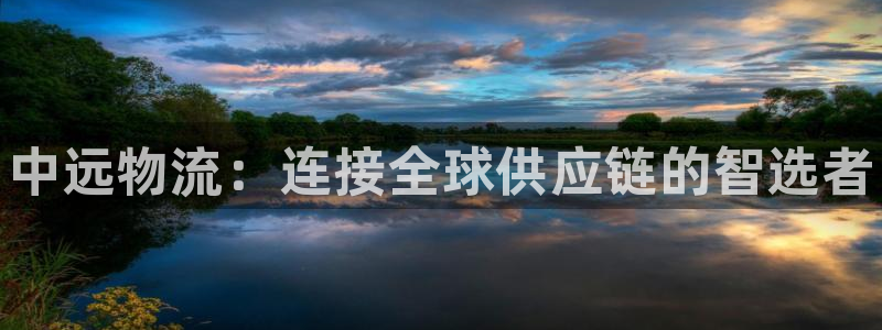 28圈怎么下载不了：中远物流：连接全