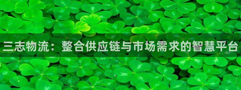 28圈黑吗:三志物流:整合供应链与市